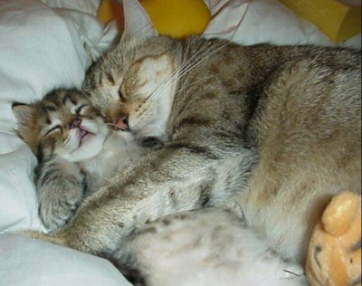 dormir.jpg